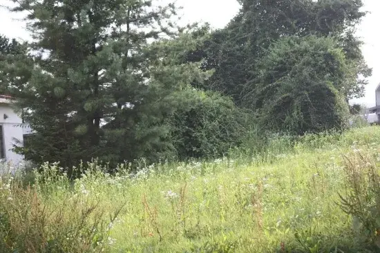 Slide 0
