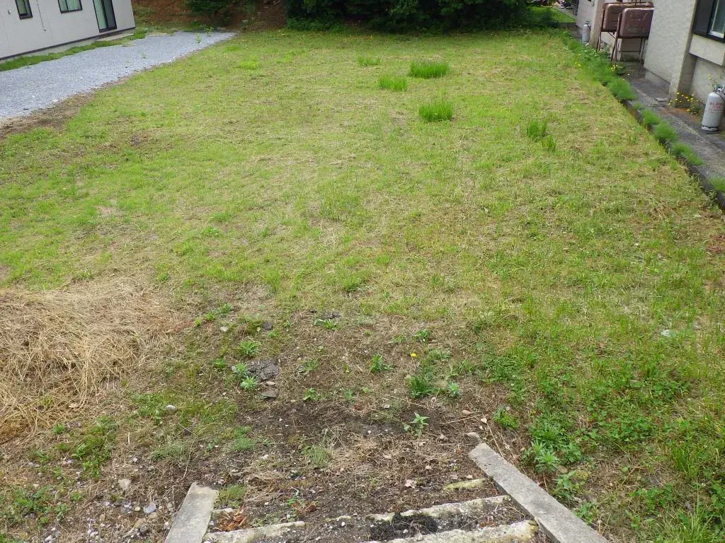 Slide 3