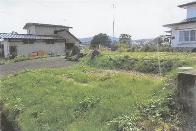 Slide 0