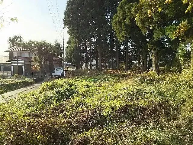 Slide 0