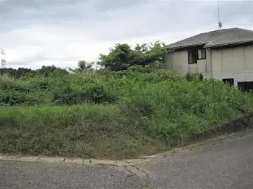 Slide 0