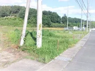 Slide 1