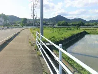 Slide 4