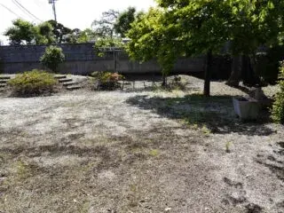 Slide 11
