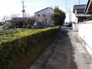 Slide 5