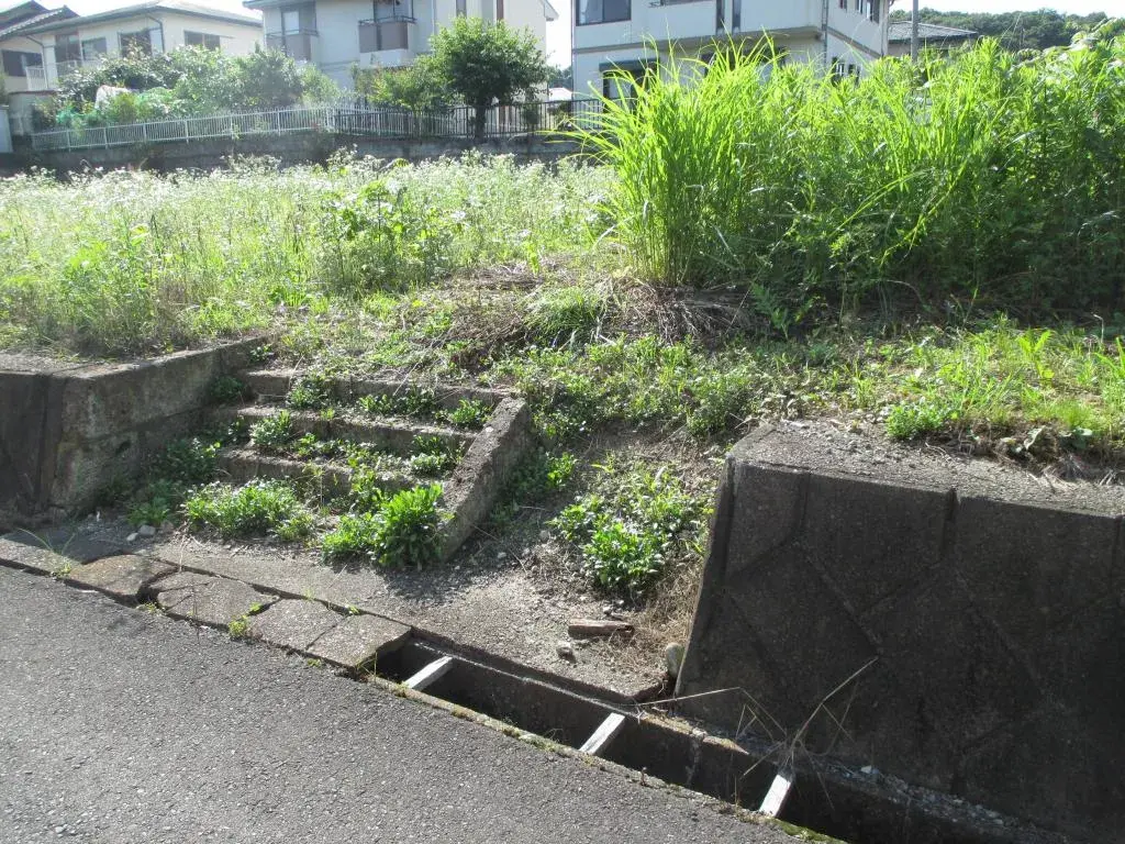 Slide 3