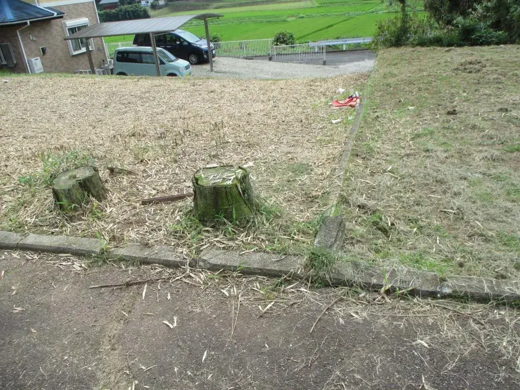 Slide 2