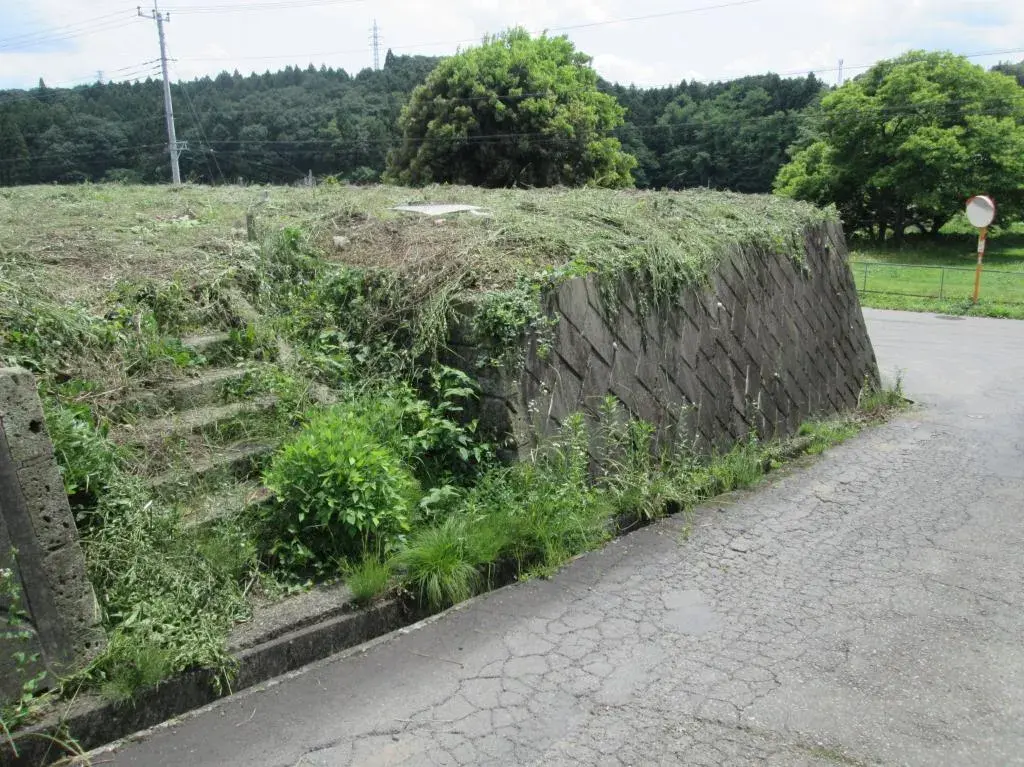 Slide 3