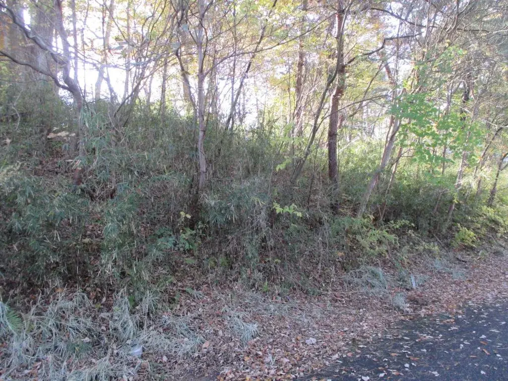 Slide 0