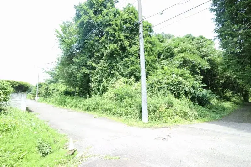 Slide 1