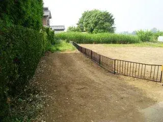 Slide 1