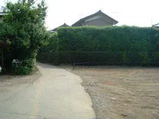 Slide 3