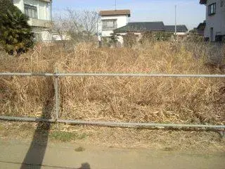 Slide 0