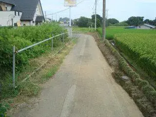 Slide 3