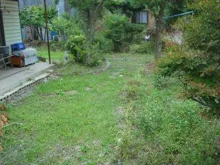 Slide 0
