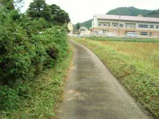 Slide 2