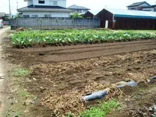 Slide 0