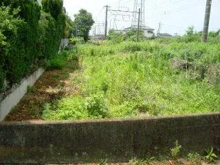Slide 1