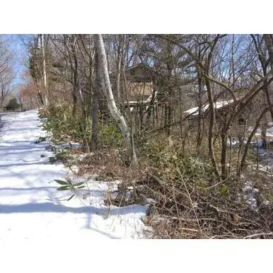 Slide 6
