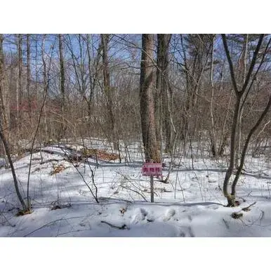 Slide 6