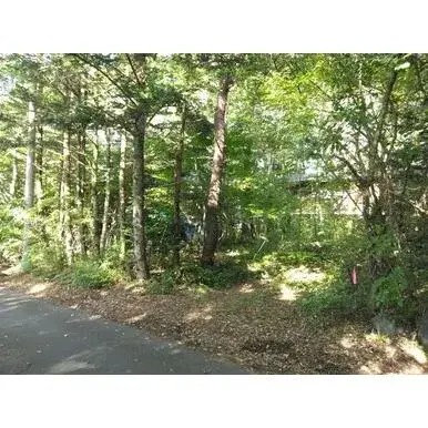 Slide 5