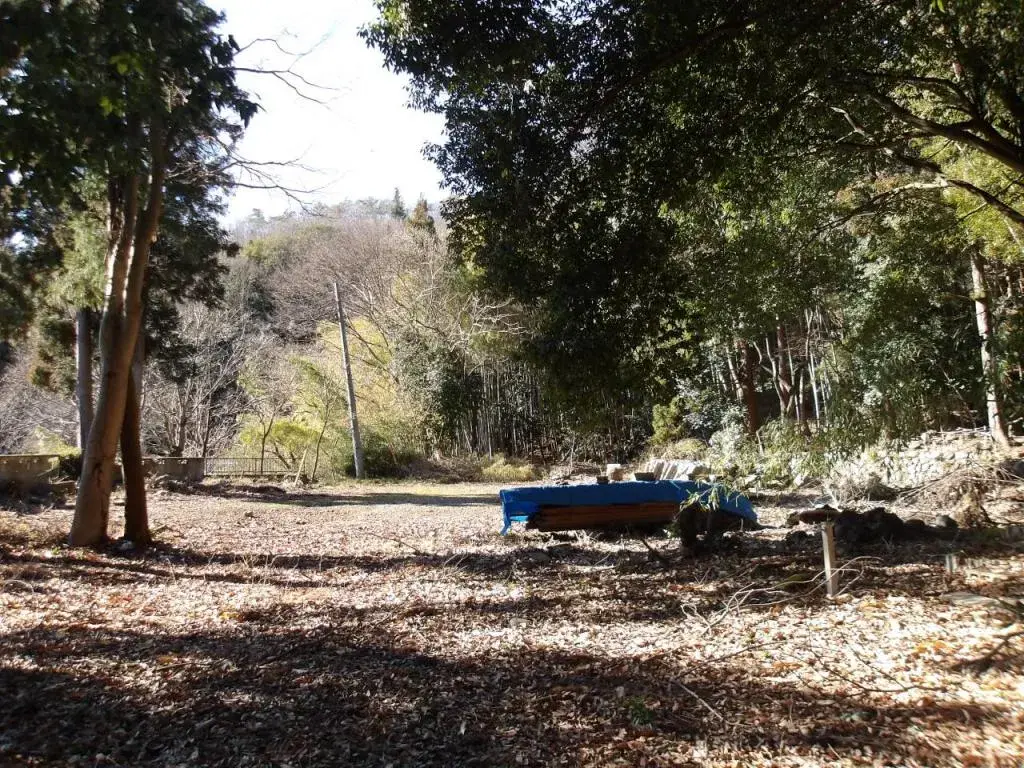 Slide 4