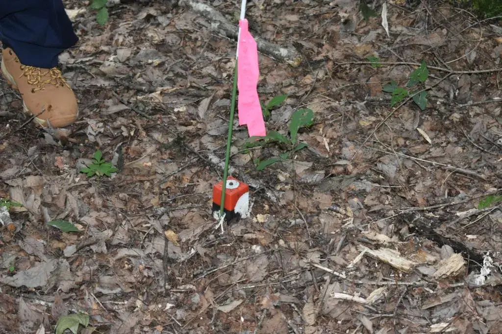 Slide 3