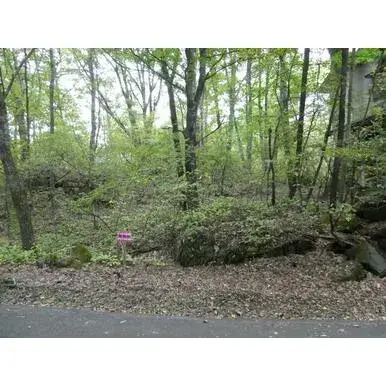 Slide 0