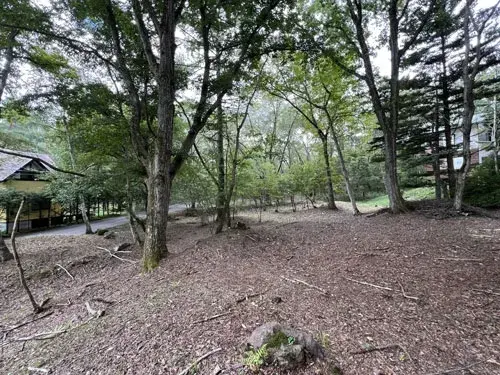 Slide 2