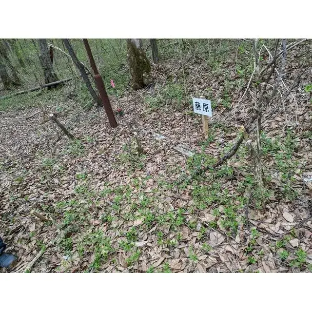 Slide 0