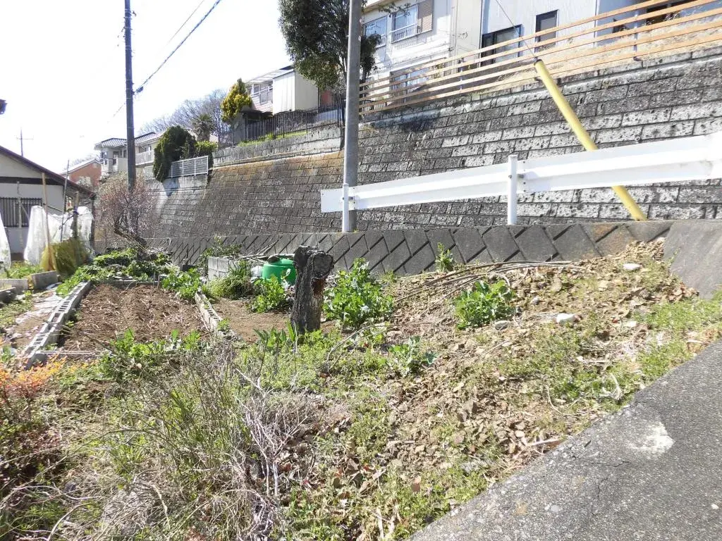 Slide 5