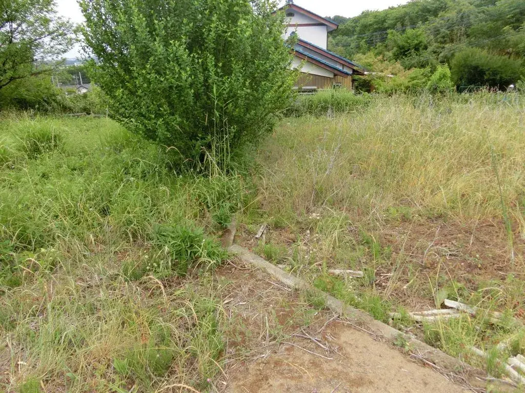 Slide 3