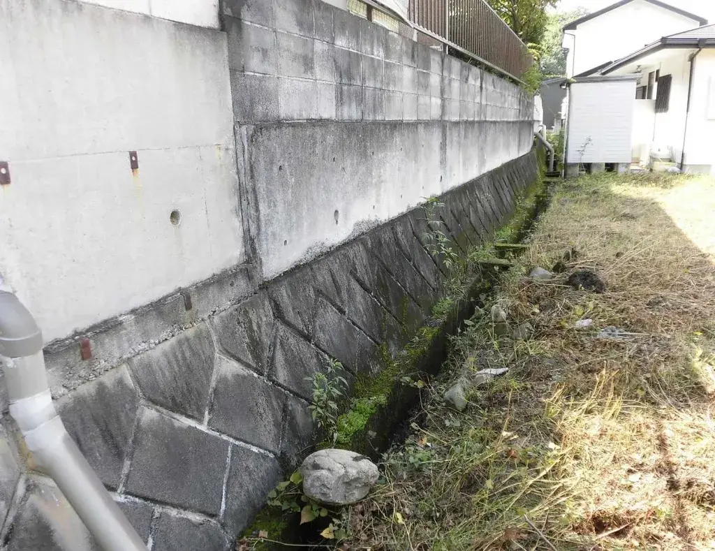 Slide 5