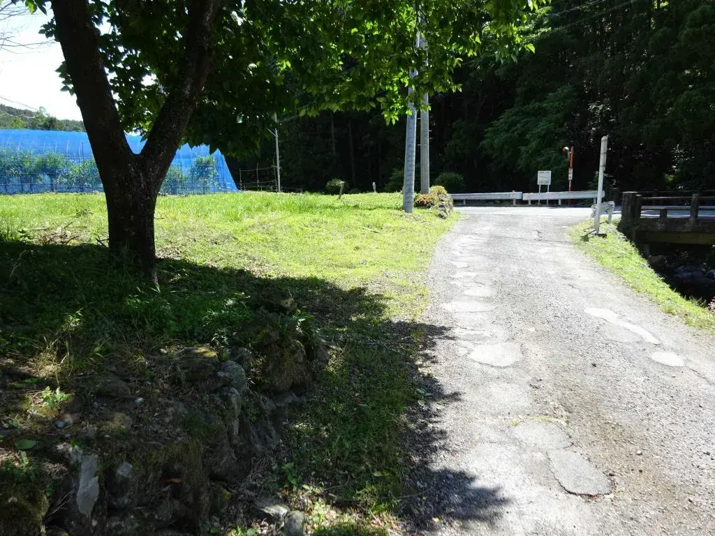 Slide 5