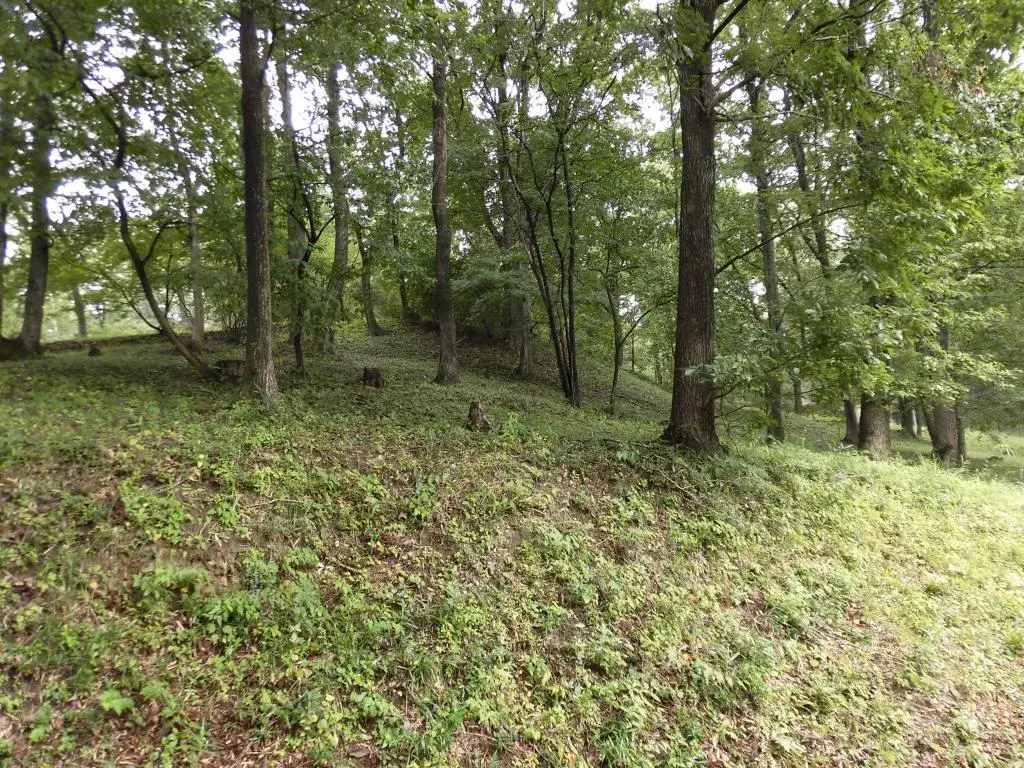 Slide 0