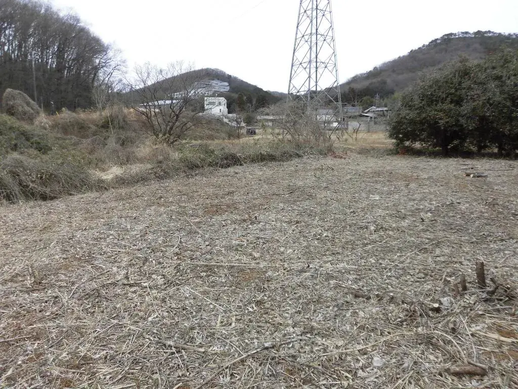Slide 4