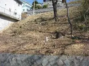 Slide 0