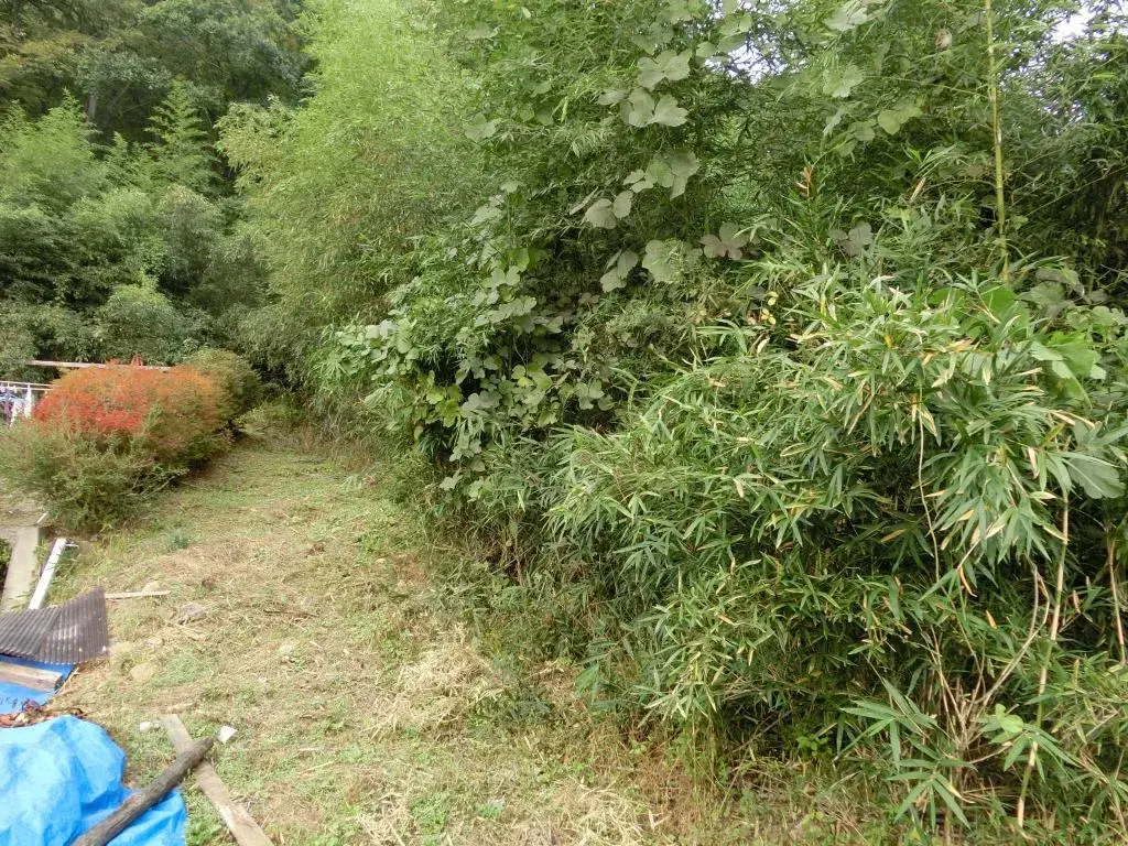 Slide 5