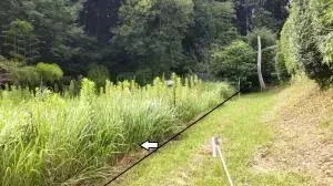 Slide 0