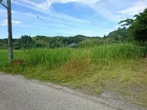 Akiya in 長生郡長柄町