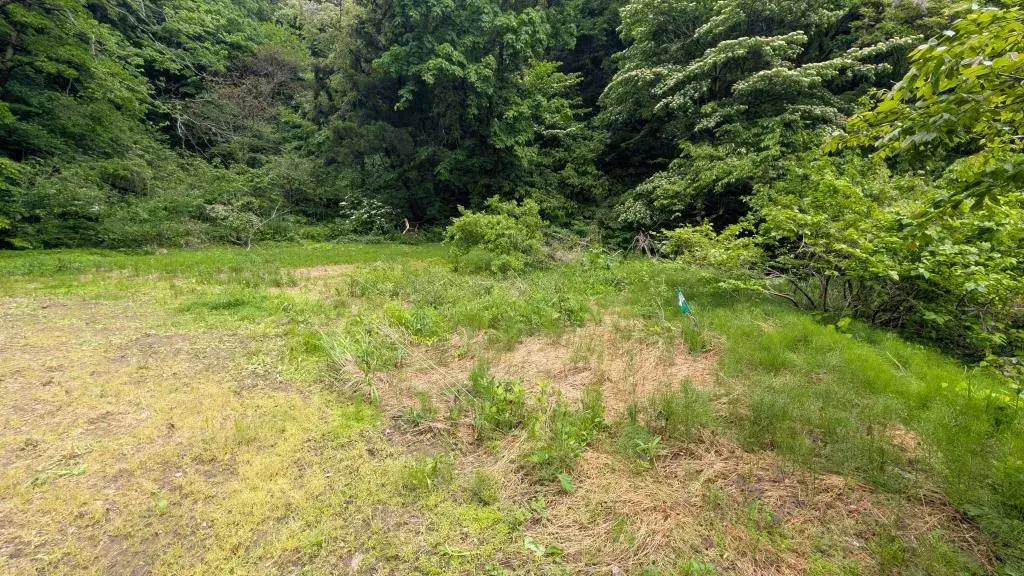 Slide 3
