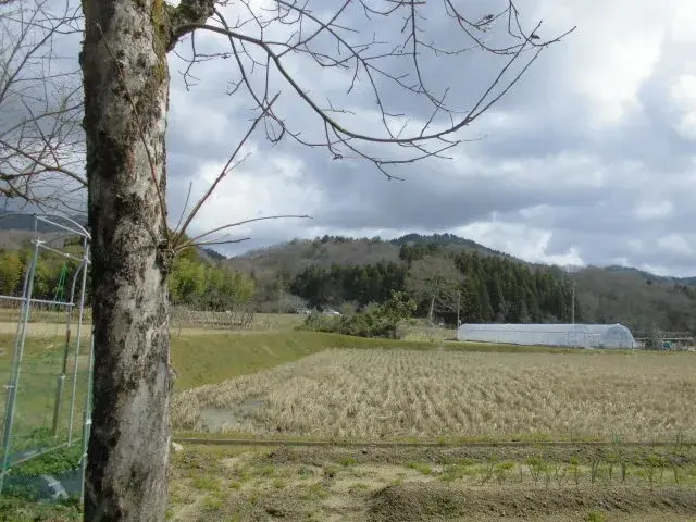 Slide 12