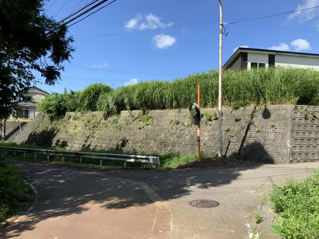 Slide 1