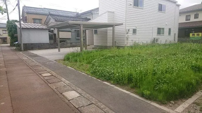Slide 0
