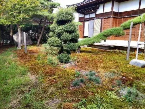 Slide 6