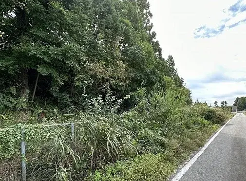 Slide 1