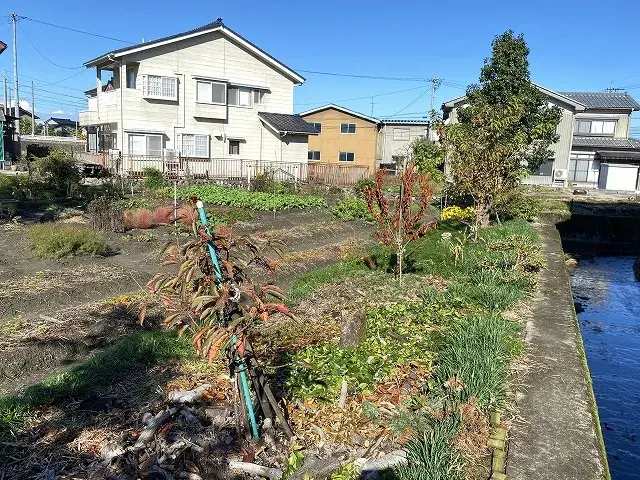 Slide 1