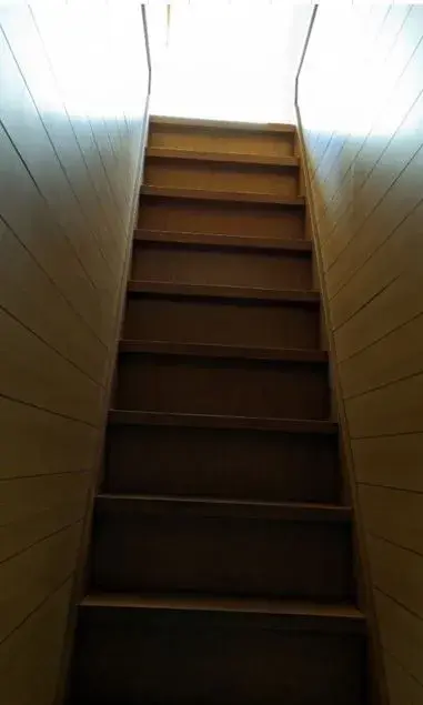 Slide 8