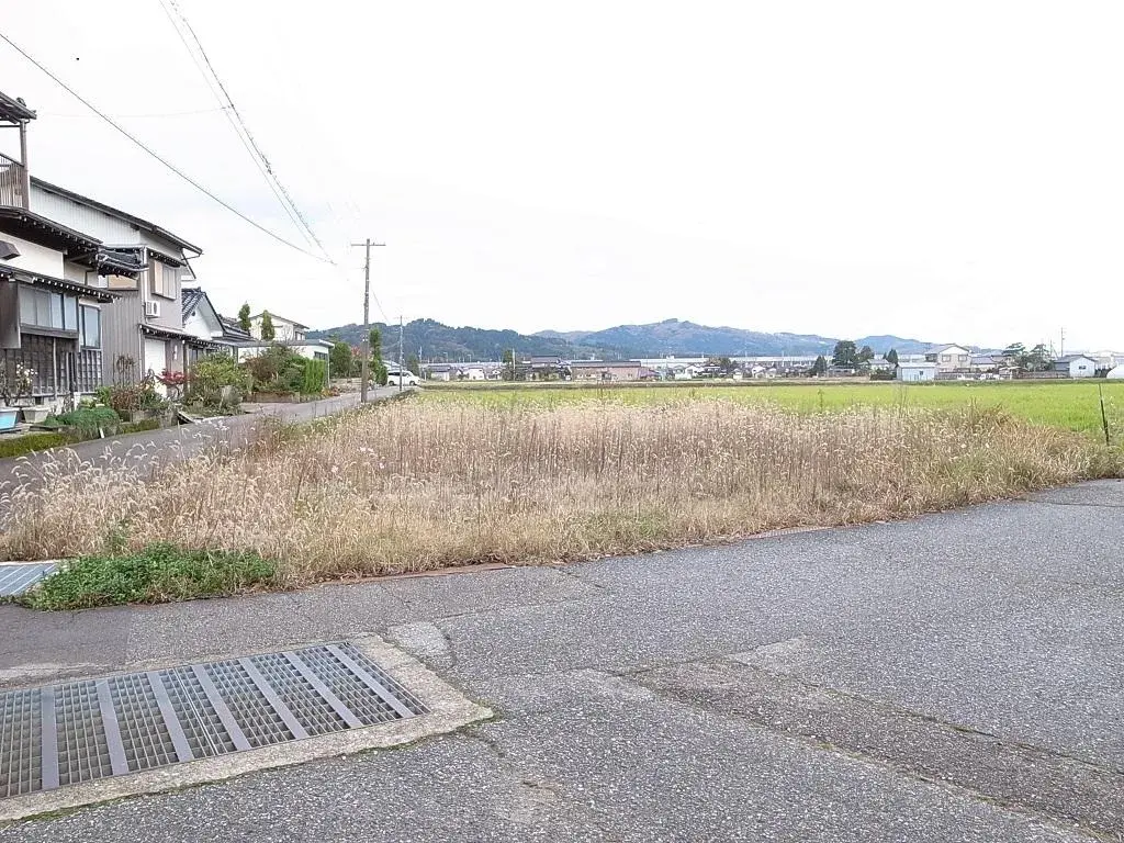 Slide 0