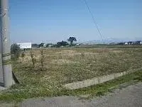 Slide 0